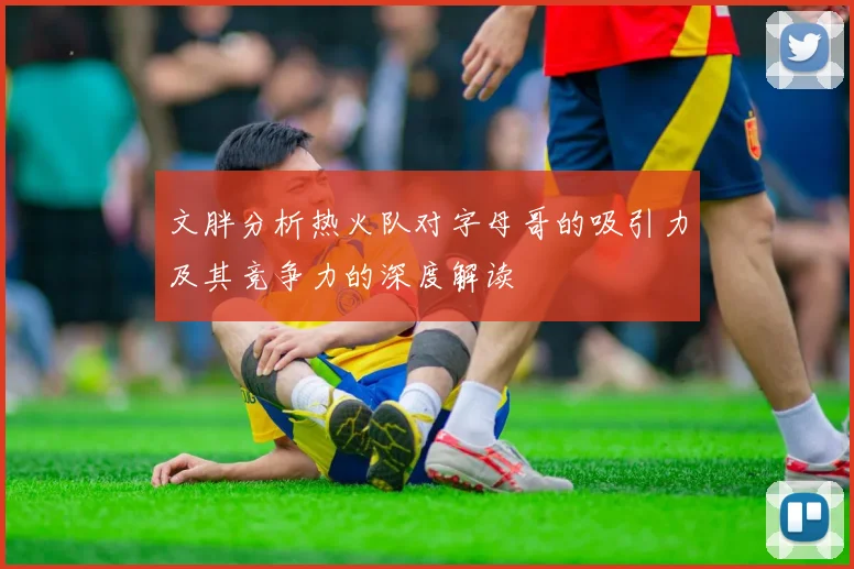文胖分析热火队对字母哥的吸引力及其竞争力的深度解读
