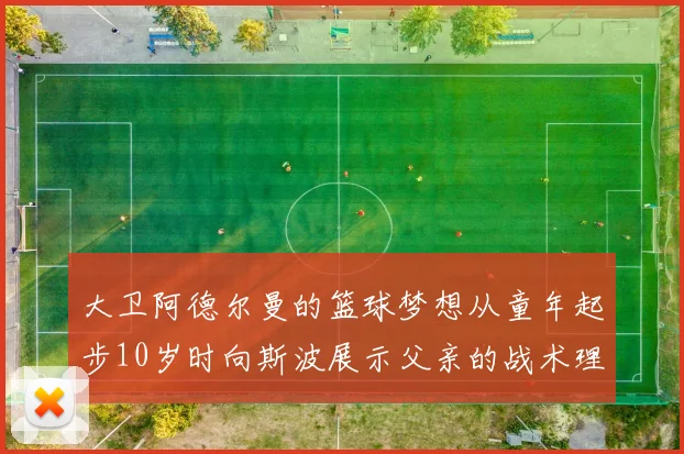 大卫阿德尔曼的篮球梦想从童年起步10岁时向斯波展示父亲的战术理念